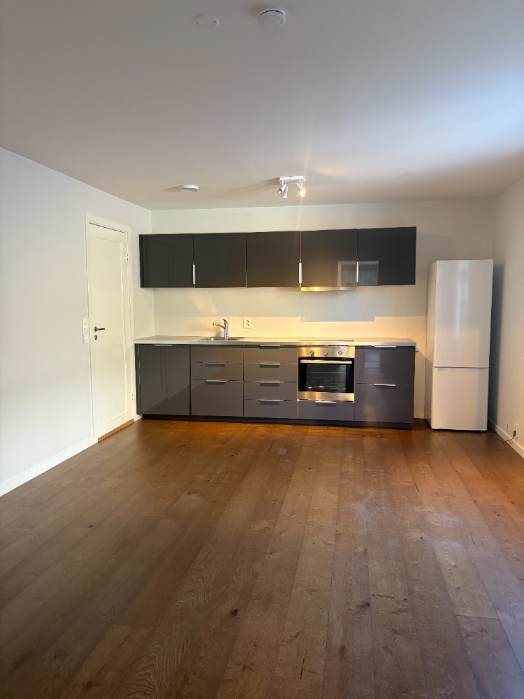 Oppvaskmaskin, ovn og platetopp og kjøleskap er inkludert